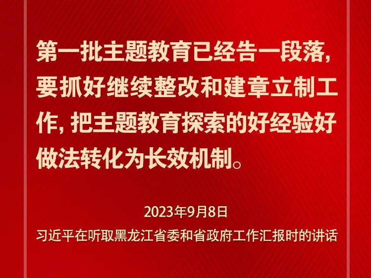 關(guān)于第二批主題教育 習(xí)近平總書記強調(diào)這些關(guān)鍵點