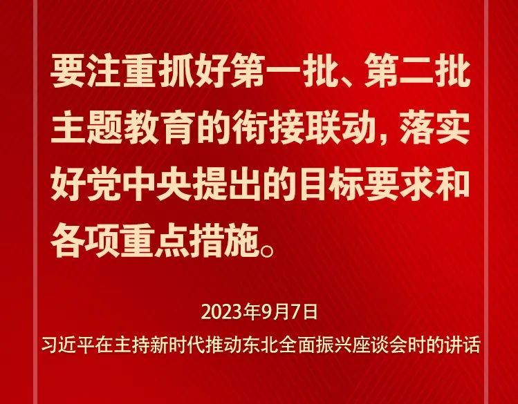 關(guān)于第二批主題教育 習(xí)近平總書記強調(diào)這些關(guān)鍵點