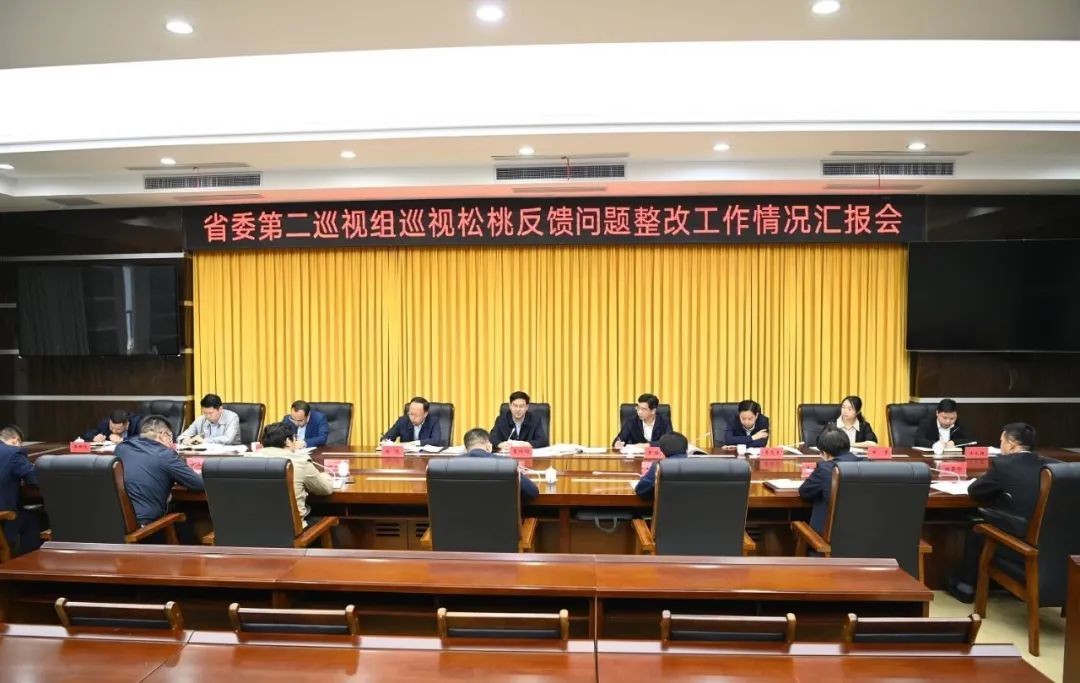 李作勛到松桃苗族自治縣調(diào)研督導(dǎo)巡視整改工作