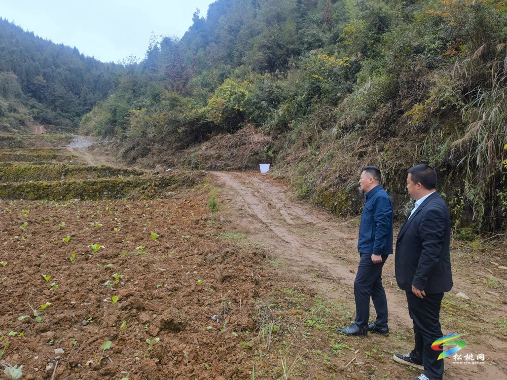 陳琪到瓦溪永安調研督導耕地保護和糧食安全工作