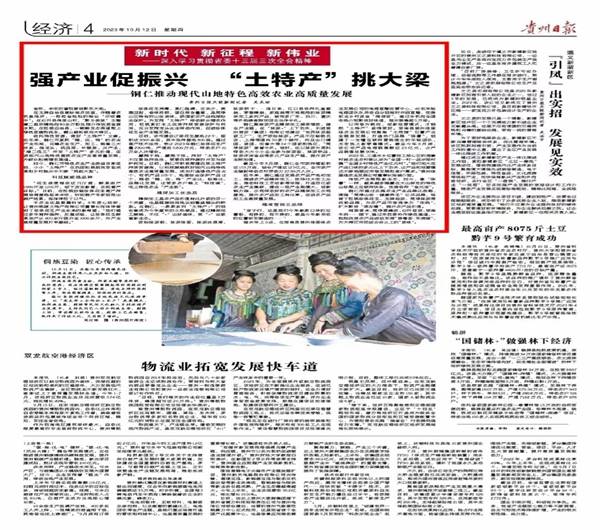 外媒看松桃  新鮮出爐！松桃2023年10月外宣成績單來啦！