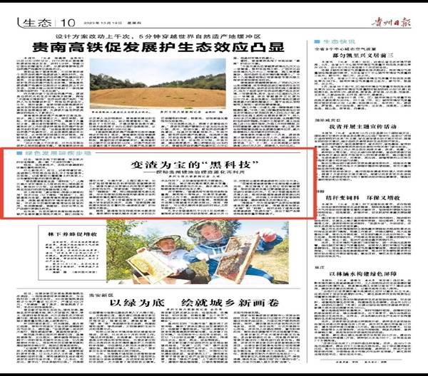 外媒看松桃  新鮮出爐！松桃2023年10月外宣成績單來啦！