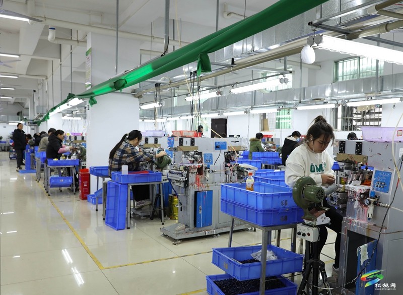 正大鎮(zhèn)微工廠：家門(mén)口就業(yè)促增收