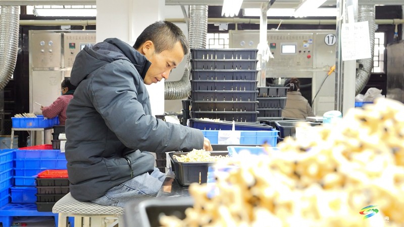 正大鎮(zhèn)微工廠：家門(mén)口就業(yè)促增收