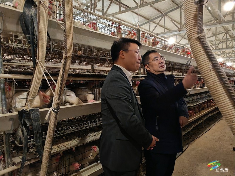 中國振華電子集團有限公司來松開展鄉(xiāng)村振興幫扶調研交流活動