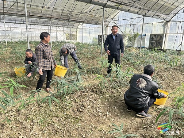 “不以鄉(xiāng)小不作為，鄉(xiāng)小也有大作為”——記首批西部計劃志愿者秀山縣隘口鎮(zhèn)黨委書記周世前