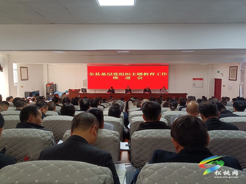 全縣基層黨組織主題教育工作推進(jìn)會(huì)召開