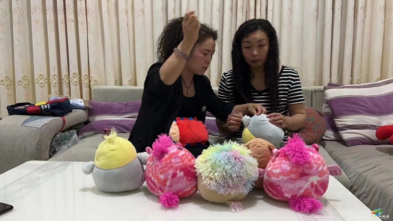 松桃：提高調(diào)查研究質(zhì)量 干出增收致富實效