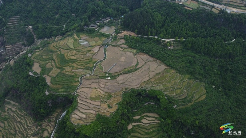 G352長(zhǎng)坪(黔湘界)至松桃公路改擴(kuò)建工程順利通過(guò)竣工驗(yàn)收