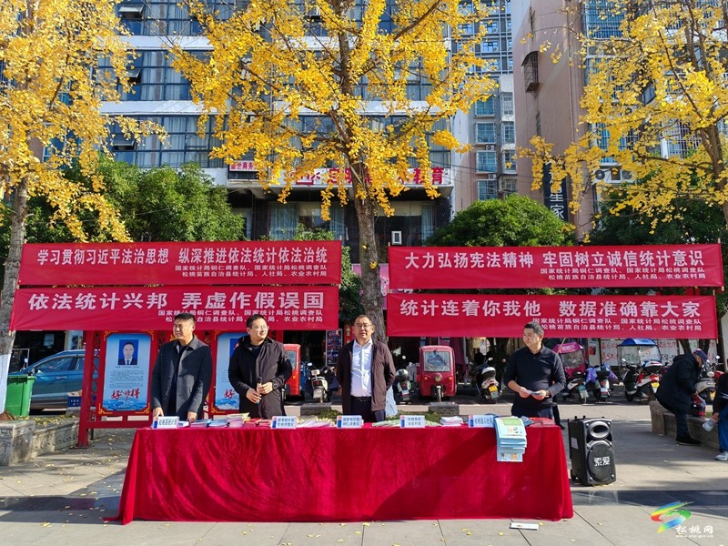 松桃開展慶?!吨腥A人民共和國統(tǒng)計法》頒布40周年集中宣傳活動