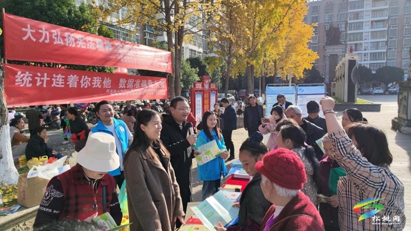 國(guó)家統(tǒng)計(jì)局松桃調(diào)查隊(duì):多形式開展“憲法宣傳周”宣傳活動(dòng)