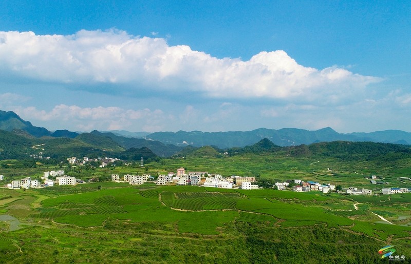 世昌街道：“小積分”撬動農(nóng)村人居環(huán)境整治大提升