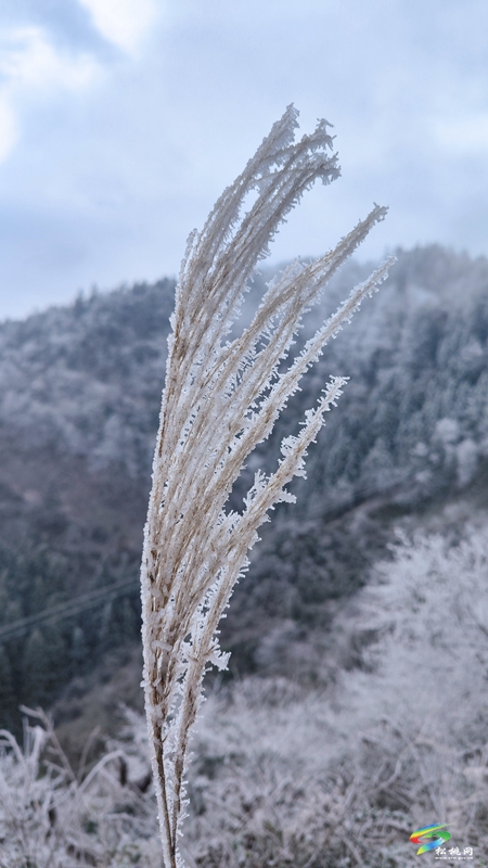 烏羅鎮(zhèn)：冬景美如畫(huà)