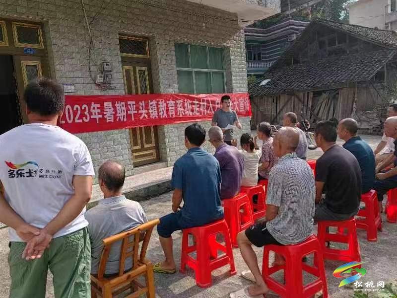 松桃平頭鎮(zhèn)：創(chuàng)新“主題黨日+”模式?激發(fā)基層黨建新活力?
