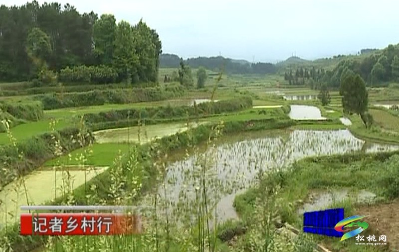 烏梅哨人的“土地情”與“發(fā)展夢(mèng)”