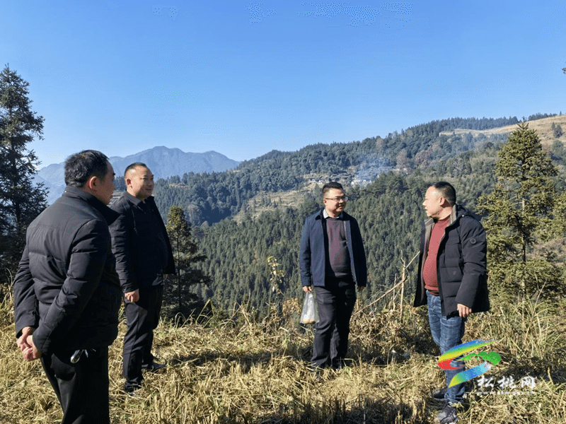 普覺鎮(zhèn)持續(xù)開展歲末年初森林防火巡查工作