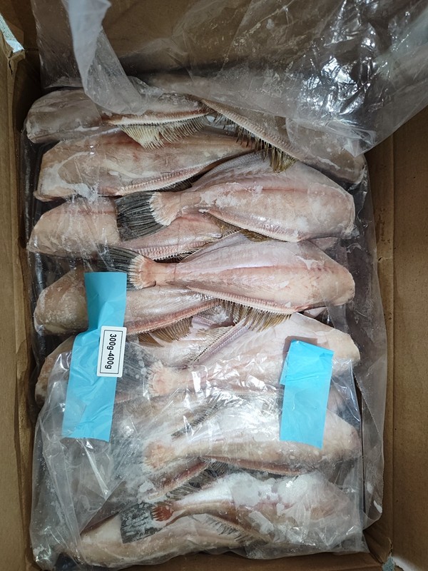 斯里蘭卡馬面魚(yú)首個(gè)冷鏈集裝箱抵達(dá)秀山