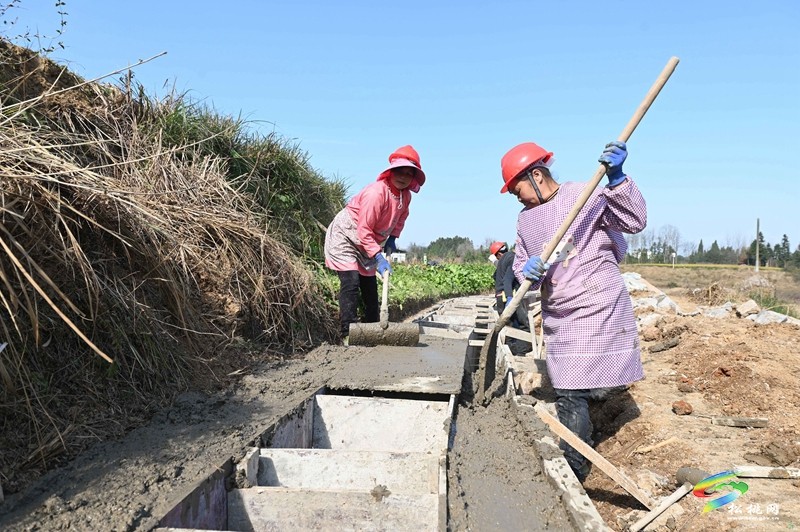 松桃：全力推進亞行項目建設??不斷完善農業(yè)基礎設施