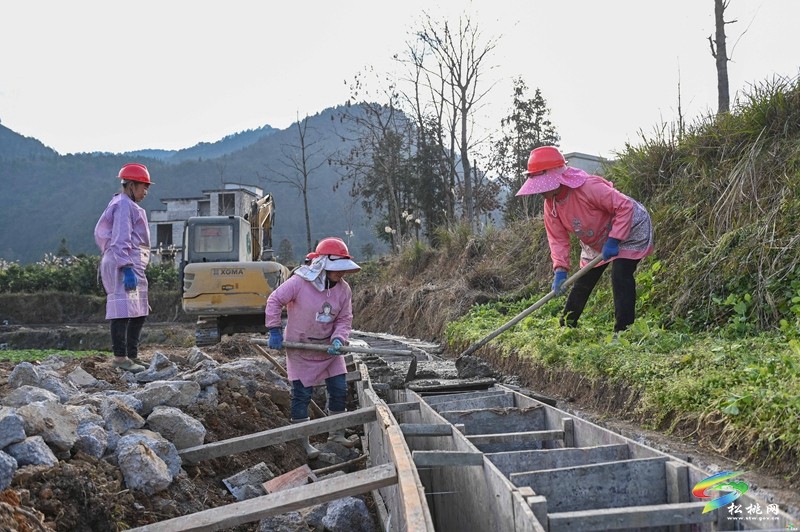 松桃：全力推進亞行項目建設??不斷完善農業(yè)基礎設施