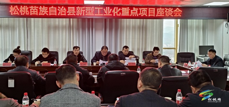 吳文斌調(diào)研新型工業(yè)化重點(diǎn)項(xiàng)目工作