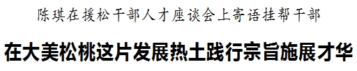 松桃召開援松干部人才座談會