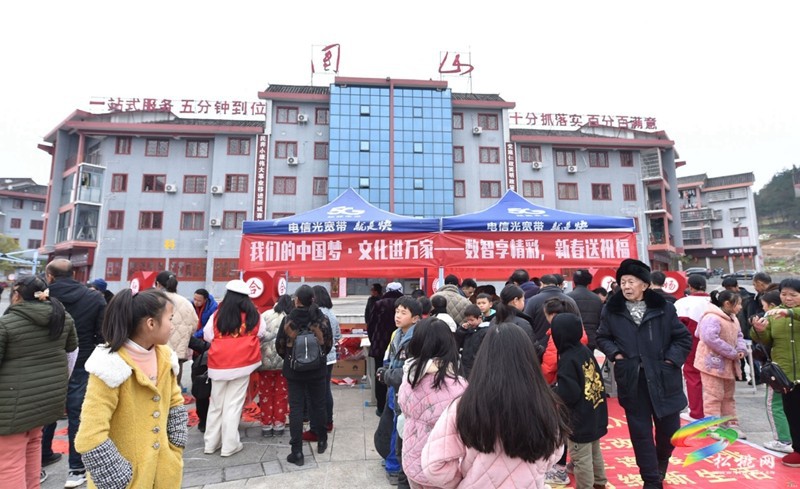 “新春送祝福·文化進(jìn)萬家”活動(dòng)走進(jìn)團(tuán)山社區(qū)