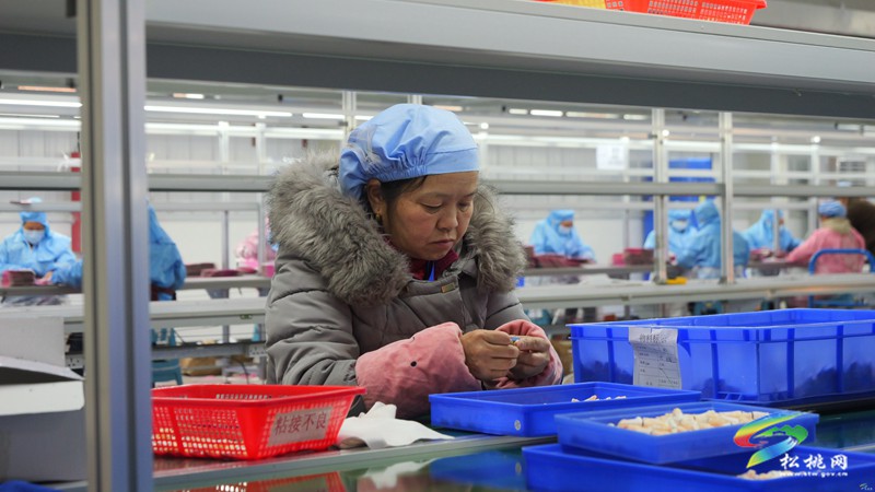 孟溪鎮(zhèn)：企業(yè)節(jié)后復(fù)工復(fù)產(chǎn)勁頭足