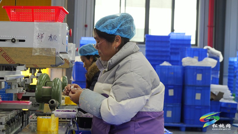 孟溪鎮(zhèn)：企業(yè)節(jié)后復(fù)工復(fù)產(chǎn)勁頭足