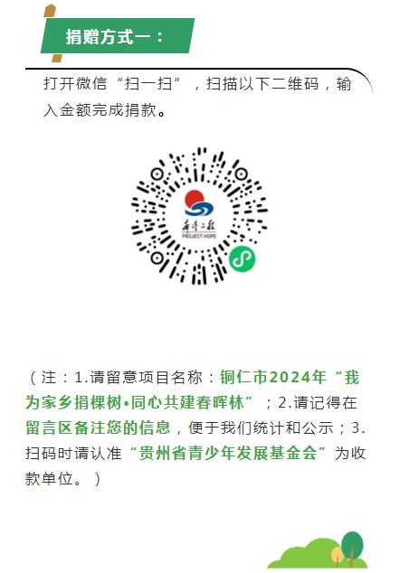 銅仁市“我為家鄉(xiāng)捐棵樹·同心共建春暉林”邀您“上春山”！