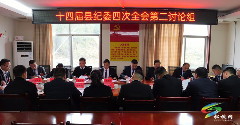 十四屆縣紀委四次全會進行分組討論