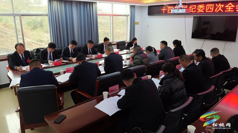 十四屆縣紀委四次全會進行分組討論