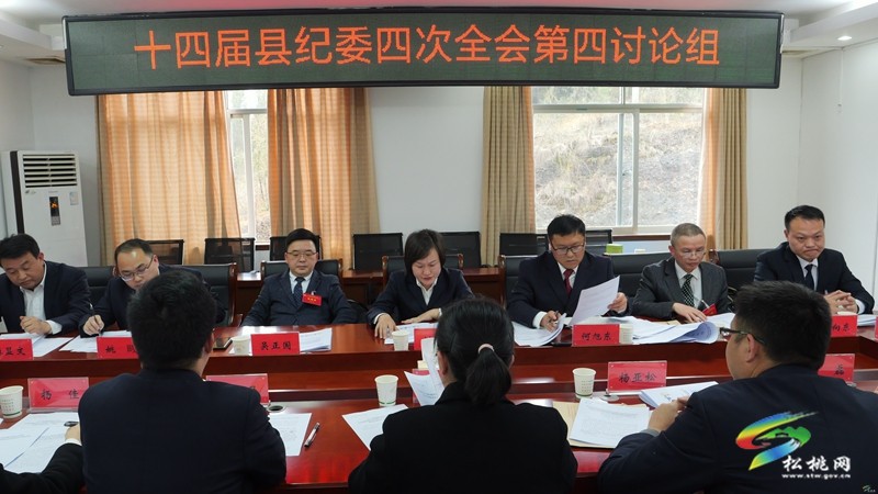 十四屆縣紀委四次全會進行分組討論