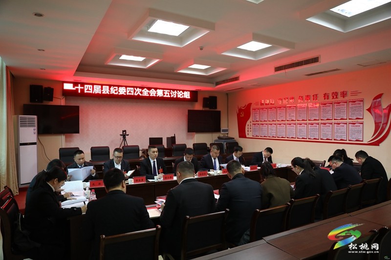 十四屆縣紀委四次全會進行分組討論