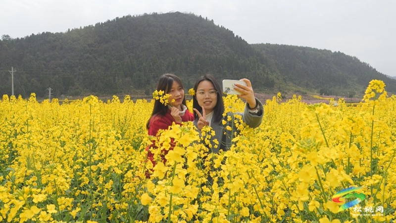 【多彩貴州·花漾中國】普覺：“上春山”賞春花