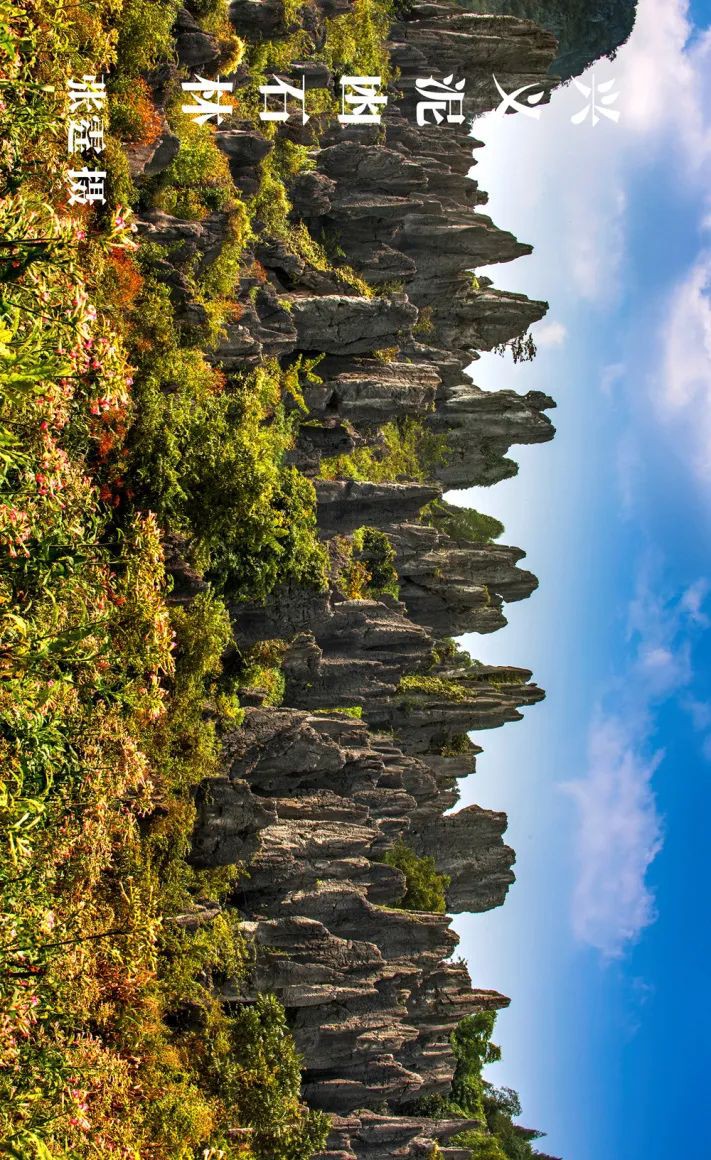 黔地西南：登春山望遠 踐知行 見天地 見自己