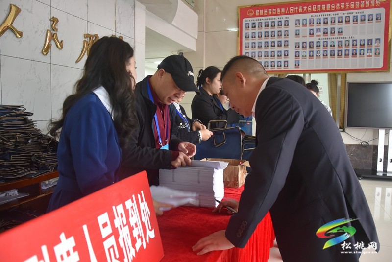 人大代表向大會報到