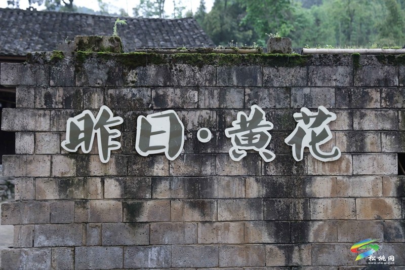 孟溪鎮(zhèn)：推進鄉(xiāng)村治理  繪就美麗畫卷