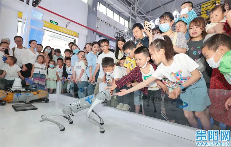 2024數(shù)博會，8月貴陽見！