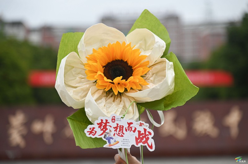 高考海采：致青春  頂峰見(jiàn)