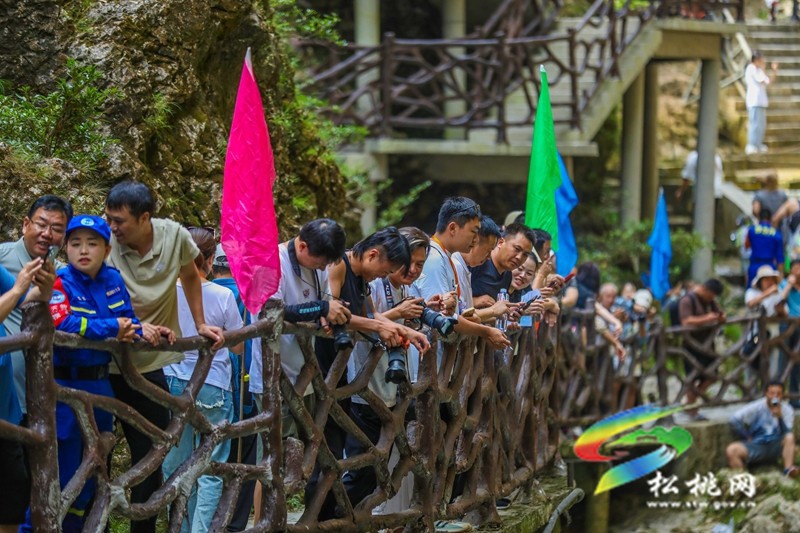 松桃：飛槳濺浪！花式皮劃艇漂流賽“超燃”