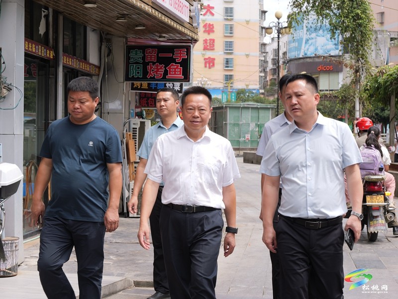 商友江到松桃縣調(diào)研錳污染治理等工作
