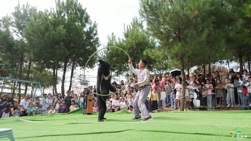 國慶嗨翻天，遛娃又添打卡點！松桃綠宸動物園熱鬧非凡！