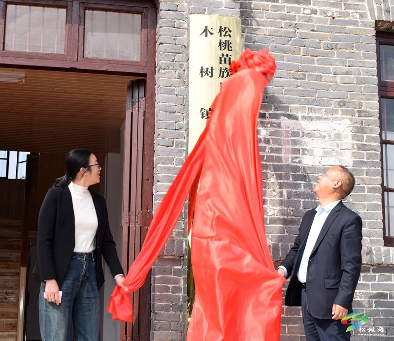 木樹(shù)鎮(zhèn)衛(wèi)生院滿(mǎn)地片區(qū)醫(yī)療服務(wù)點(diǎn)揭牌儀式舉行