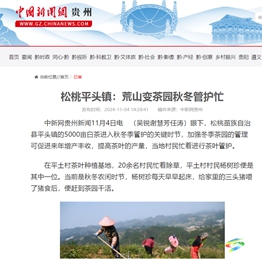【成績(jī)單來(lái)了！】松桃2024年11月份對(duì)外宣傳成績(jī)單