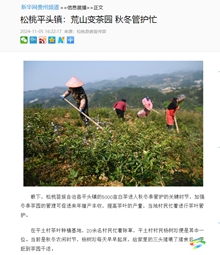 【成績(jī)單來(lái)了！】松桃2024年11月份對(duì)外宣傳成績(jī)單
