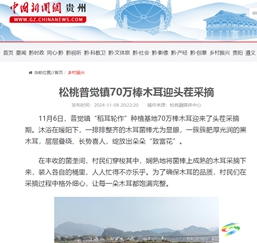 【成績(jī)單來(lái)了！】松桃2024年11月份對(duì)外宣傳成績(jī)單