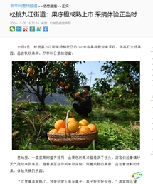 【成績(jī)單來(lái)了！】松桃2024年11月份對(duì)外宣傳成績(jī)單