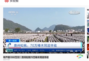 【成績(jī)單來(lái)了！】松桃2024年11月份對(duì)外宣傳成績(jī)單