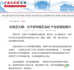 【成績(jī)單來(lái)了！】松桃2024年11月份對(duì)外宣傳成績(jī)單