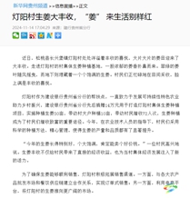 【成績(jī)單來(lái)了！】松桃2024年11月份對(duì)外宣傳成績(jī)單